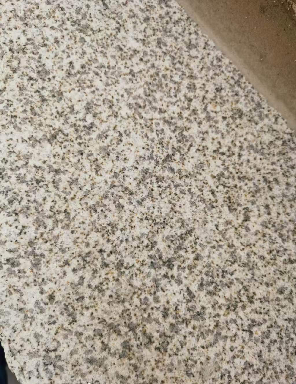 西藏 黄金麻中黄光面