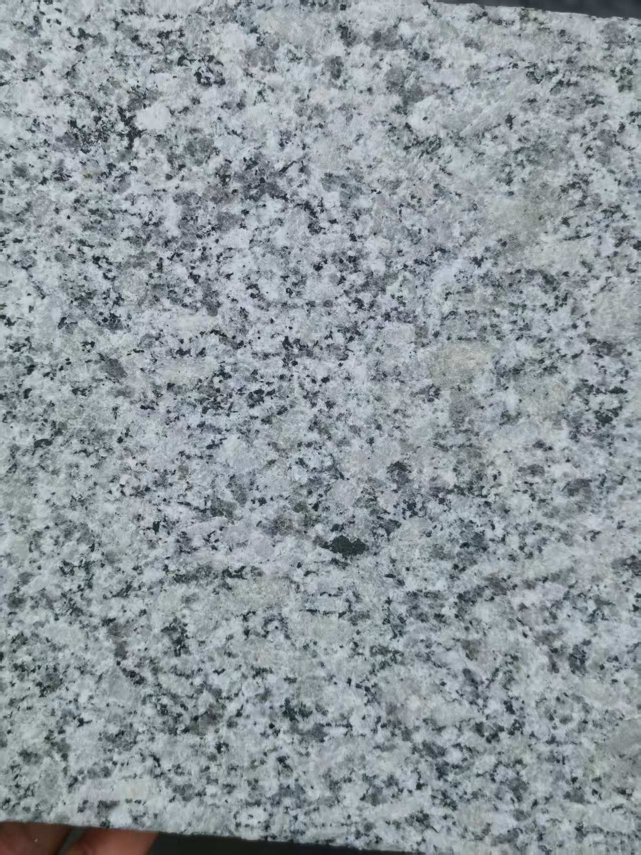 西藏 芙蓉白火烧面
